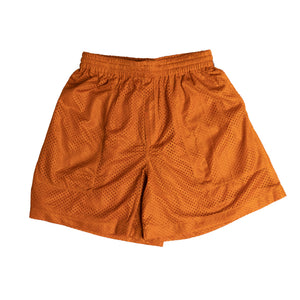 
                
                    Load image into Gallery viewer, BODE Spice Mesh Shorts In Orange - CNTRBND
                
            
